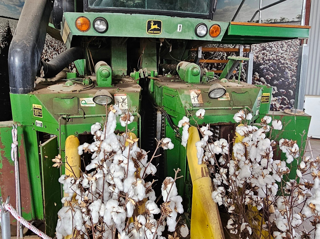 Goondiwindi Cotton-Goondiwindi必去景点