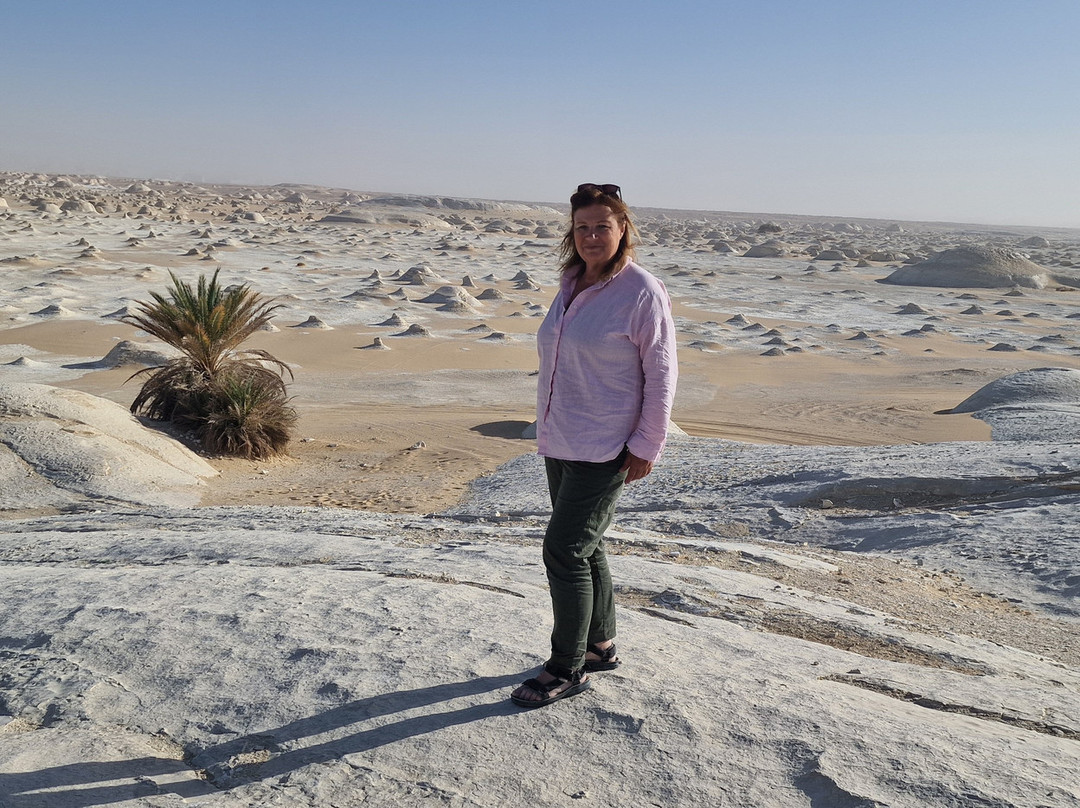 Ahmed Safari Camp And Hotel主图