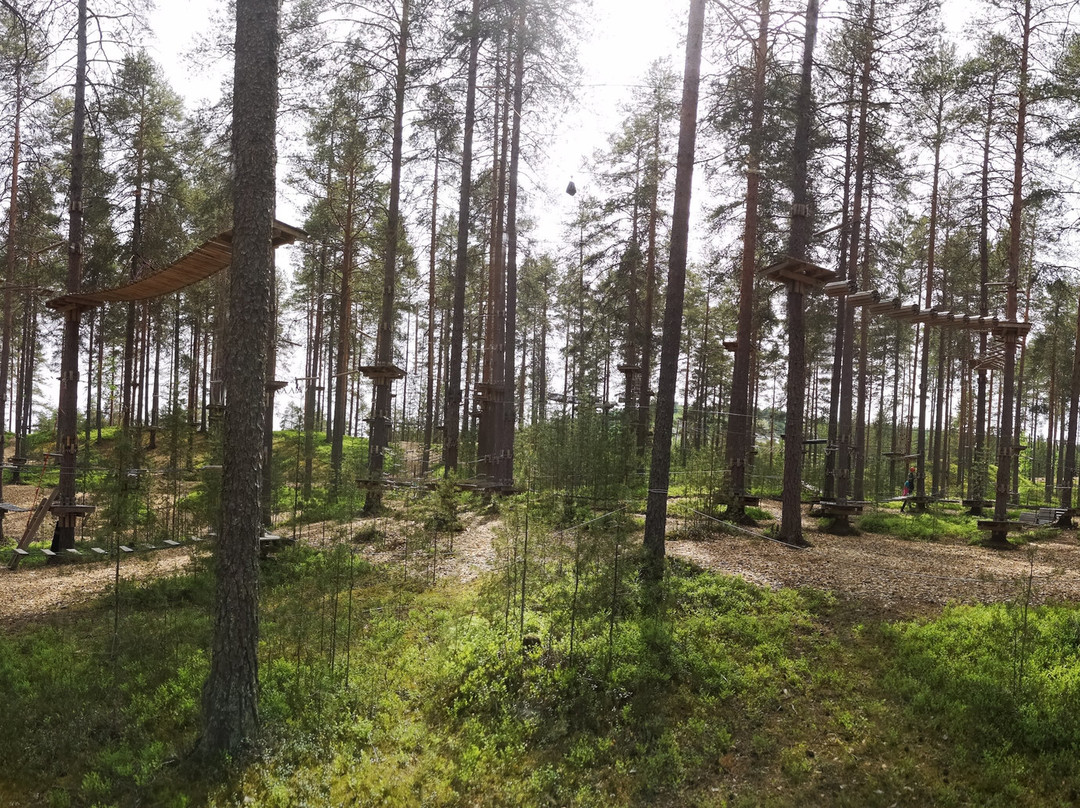 Vuokatti Adventure Park-Vuokatti必去景点