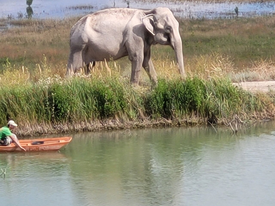 Taigan Lions Park-Bilohirsk必去景点