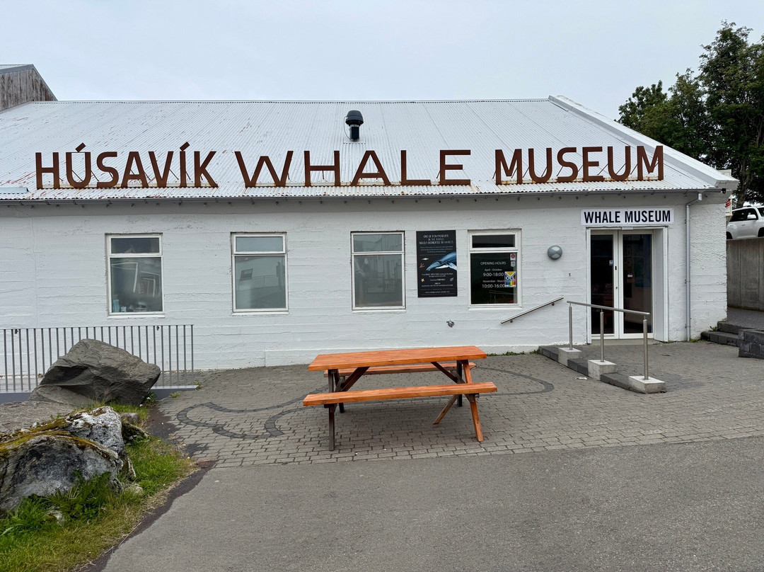 胡萨维克鲸博物馆-胡萨维克必去景点