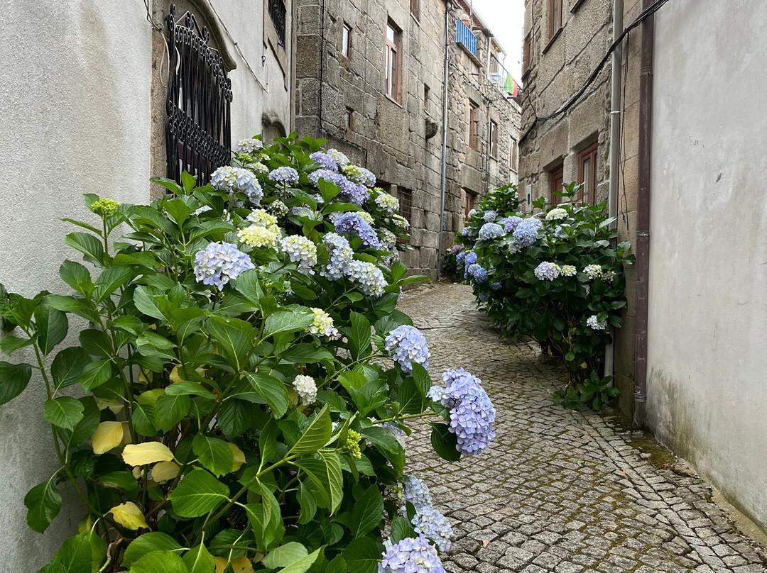 Judiaria de Trancoso-Trancoso必去景点