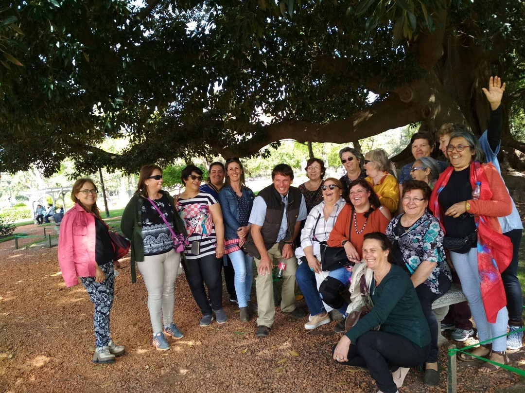 Fiesta Nacional De La Flor