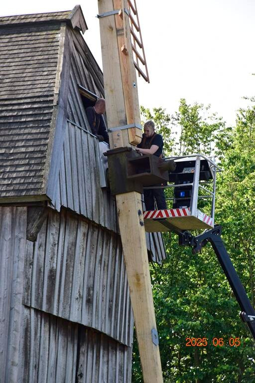 Schleswig-Holstein Open Air Museum-Molfsee必去景点