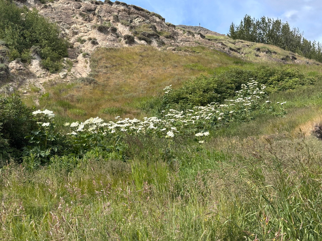 Bodenburg Butte-帕尔默必去景点