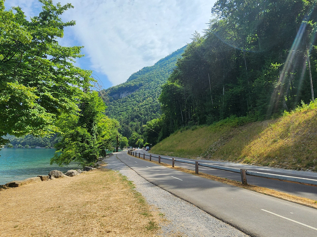 The Lake Annecy Greenway-安纳西必去景点