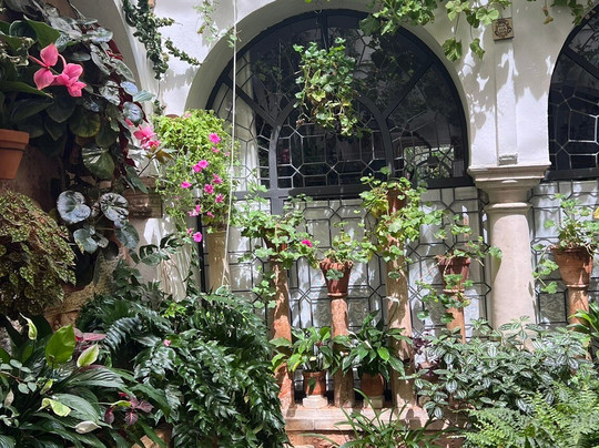 Contarte Córdoba-科尔多瓦必去景点