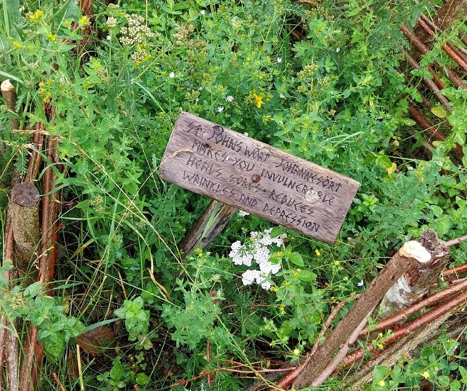 霍高尔登-Bjorko必去景点