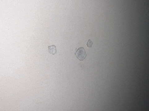 Aston Lampung City Hotel主图