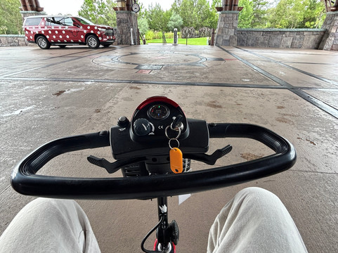 Big Orange Mobility-奥兰多必去景点