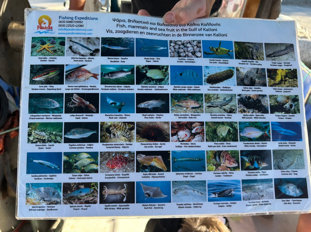 Mitsos Fishing Trips-Petra必去景点