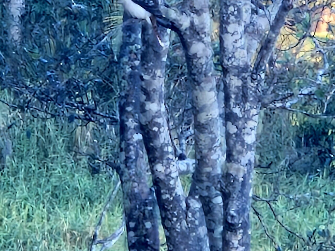 Baroon Pocket Dam-蒙特维尔必去景点