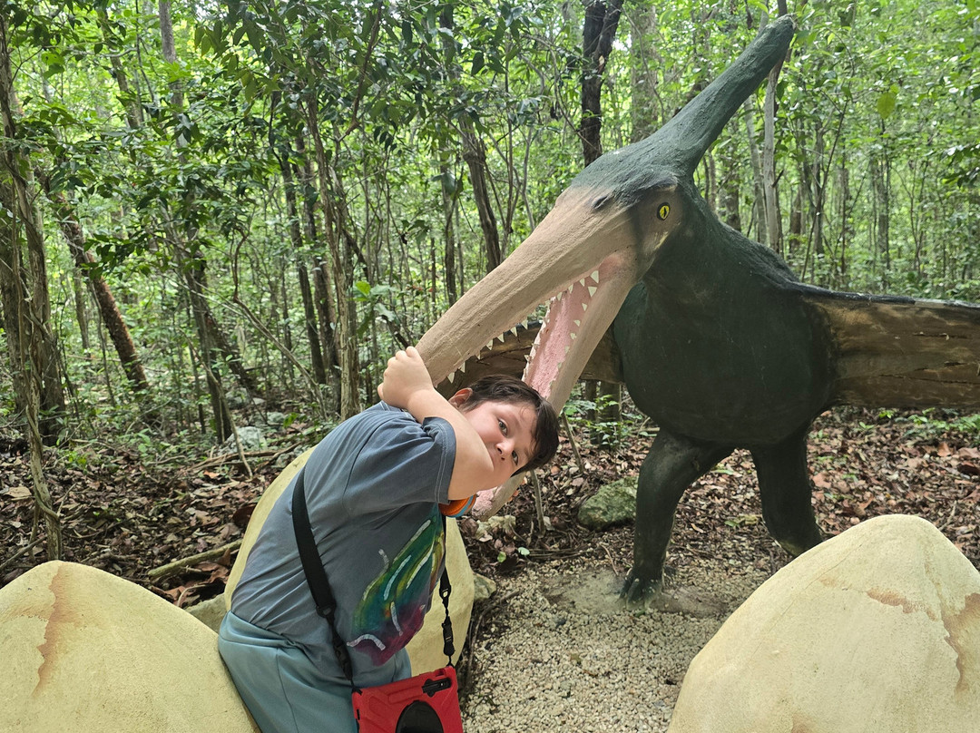 Cenote Zacil-Ha-图伦必去景点