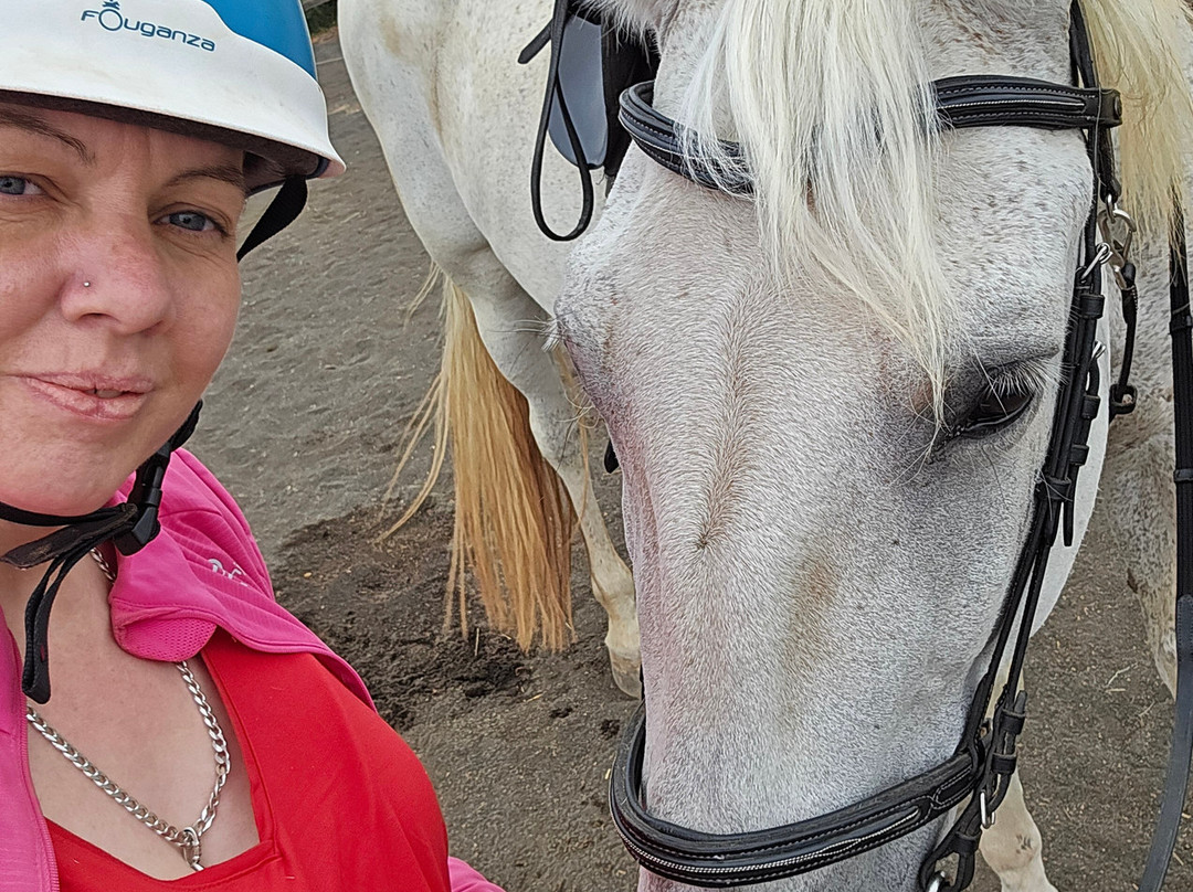 Horses Lanzarote-Teseguite必去景点