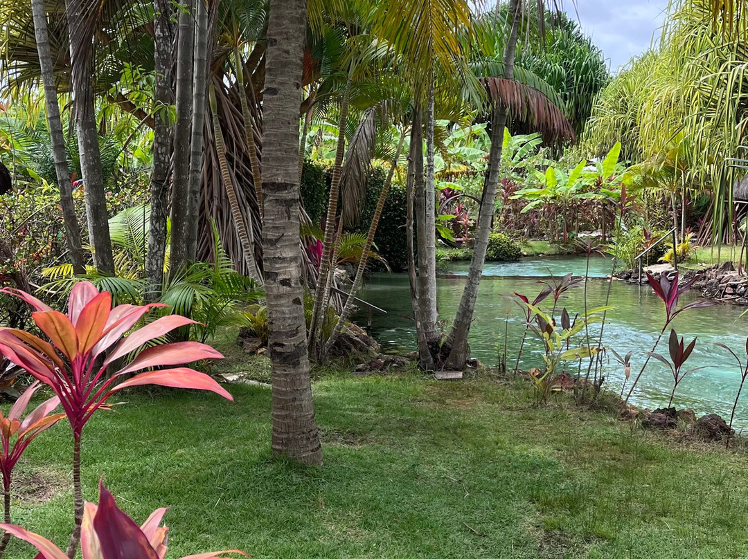 Tao Paradise-Pureza必去景点