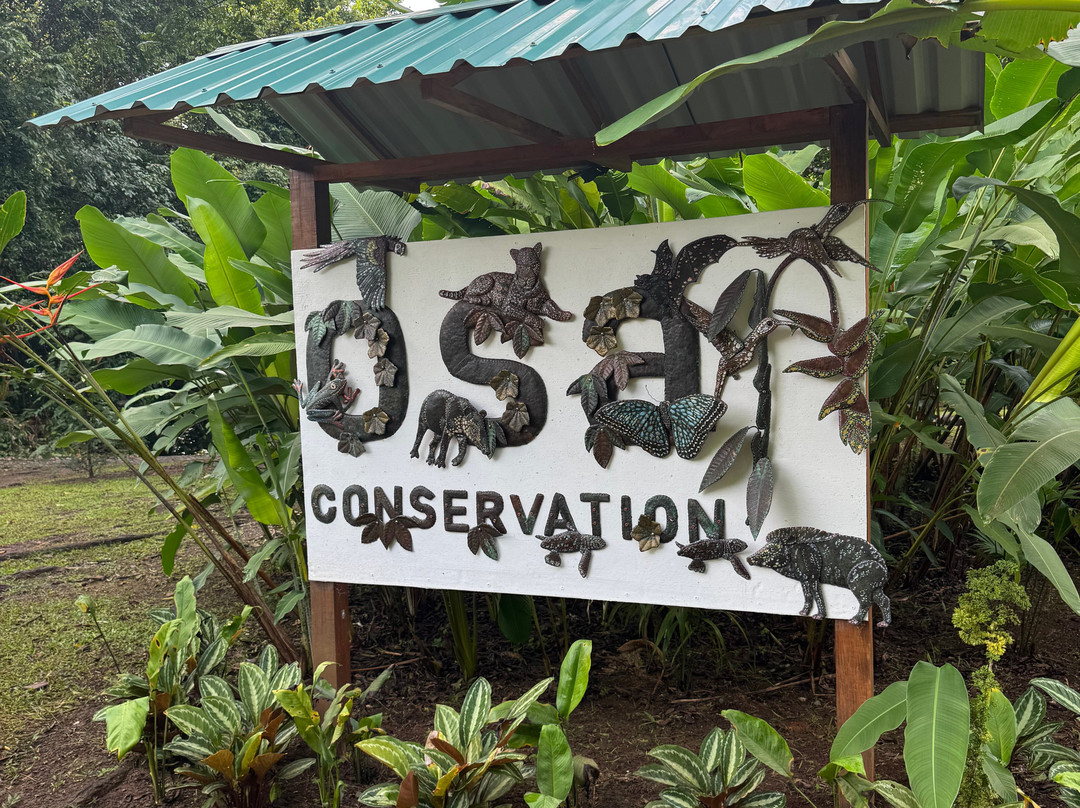 Osa Conservation Campus-希门尼斯港必去景点