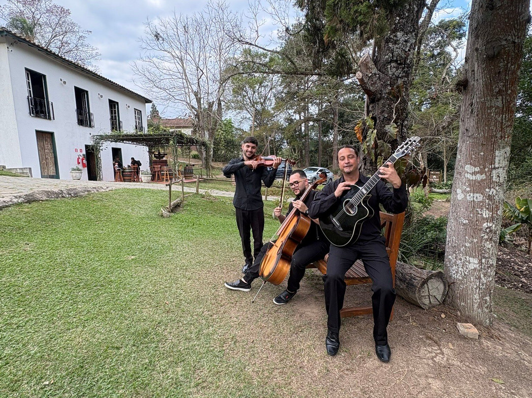 Vinícola Casa da Árvore-Sao Roque必去景点