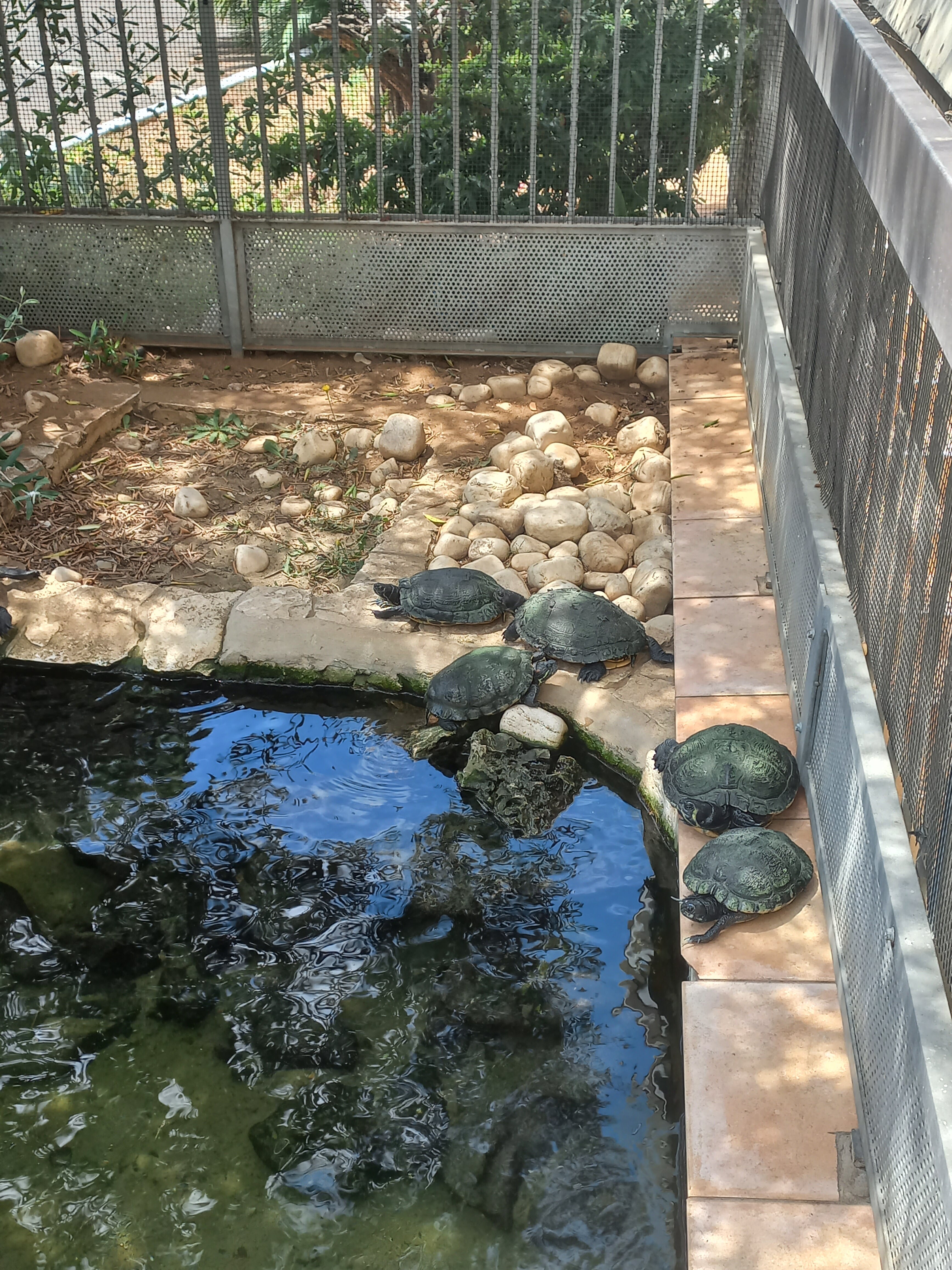 Hotel River Palace-官方