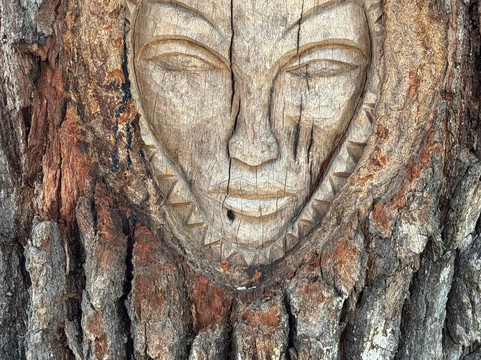 Tree Spirits of St. Simons Island-圣西蒙斯岛必去景点