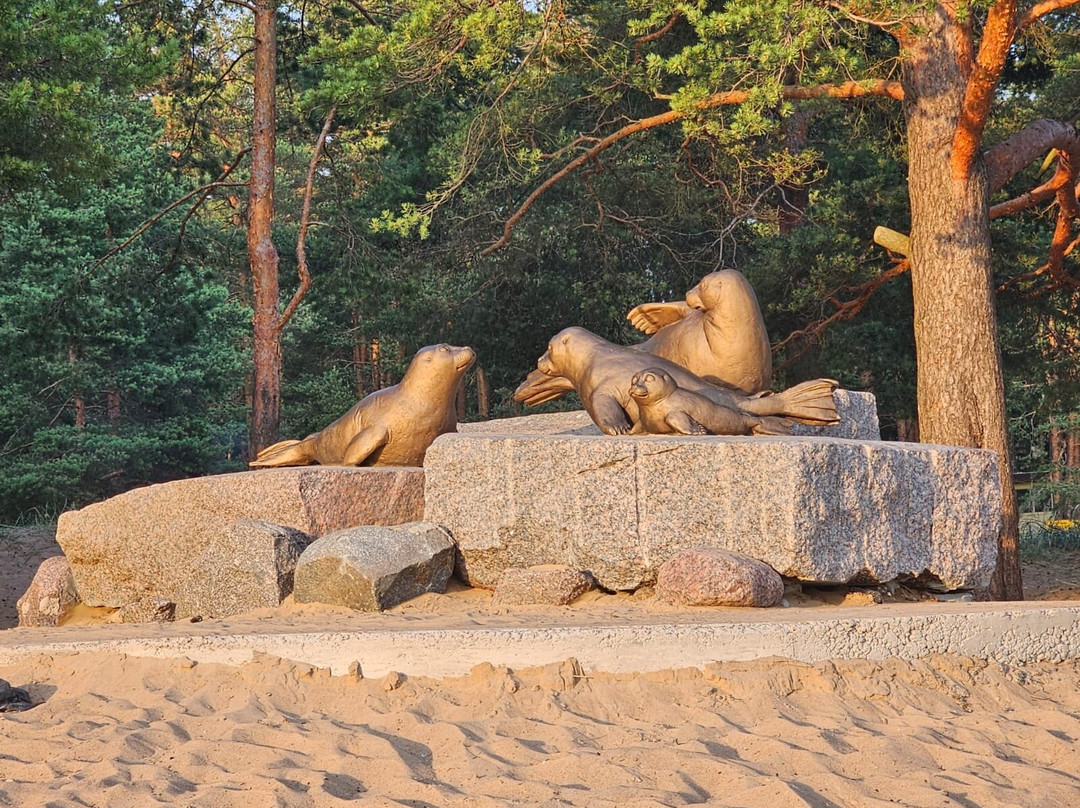 Beach Laskovy-圣彼得堡必去景点