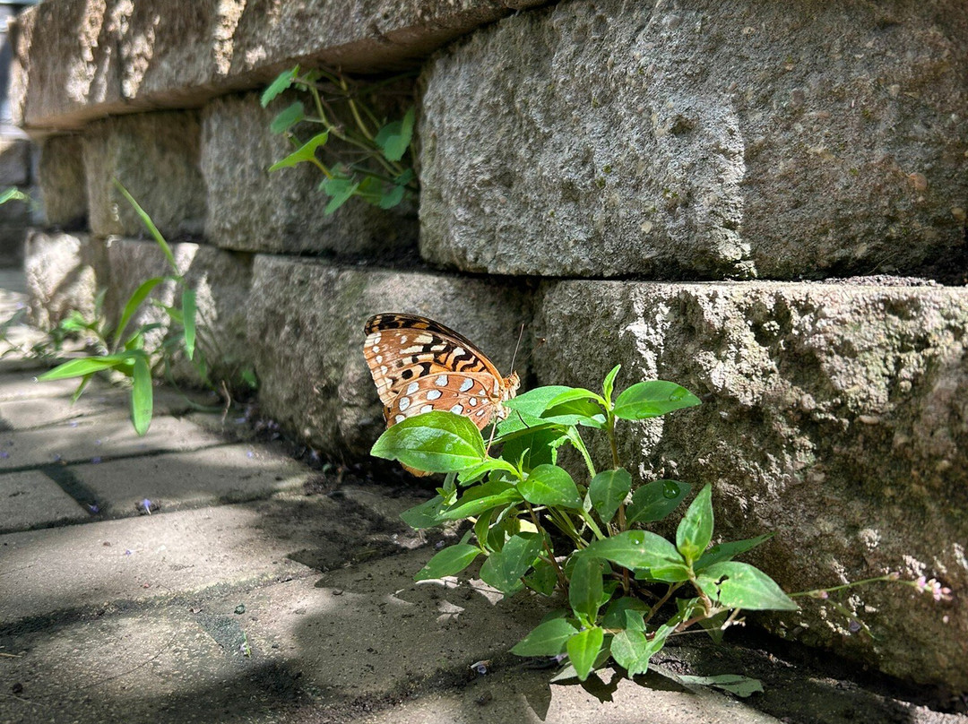 Springfield Botanical Gardens at Nathanael Greene/Close Memorial Park-斯普林菲尔德必去景点