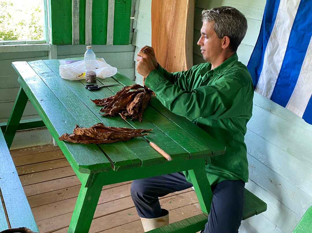 Un Paseo Por El Valle Palmarito-维纳勒斯必去景点