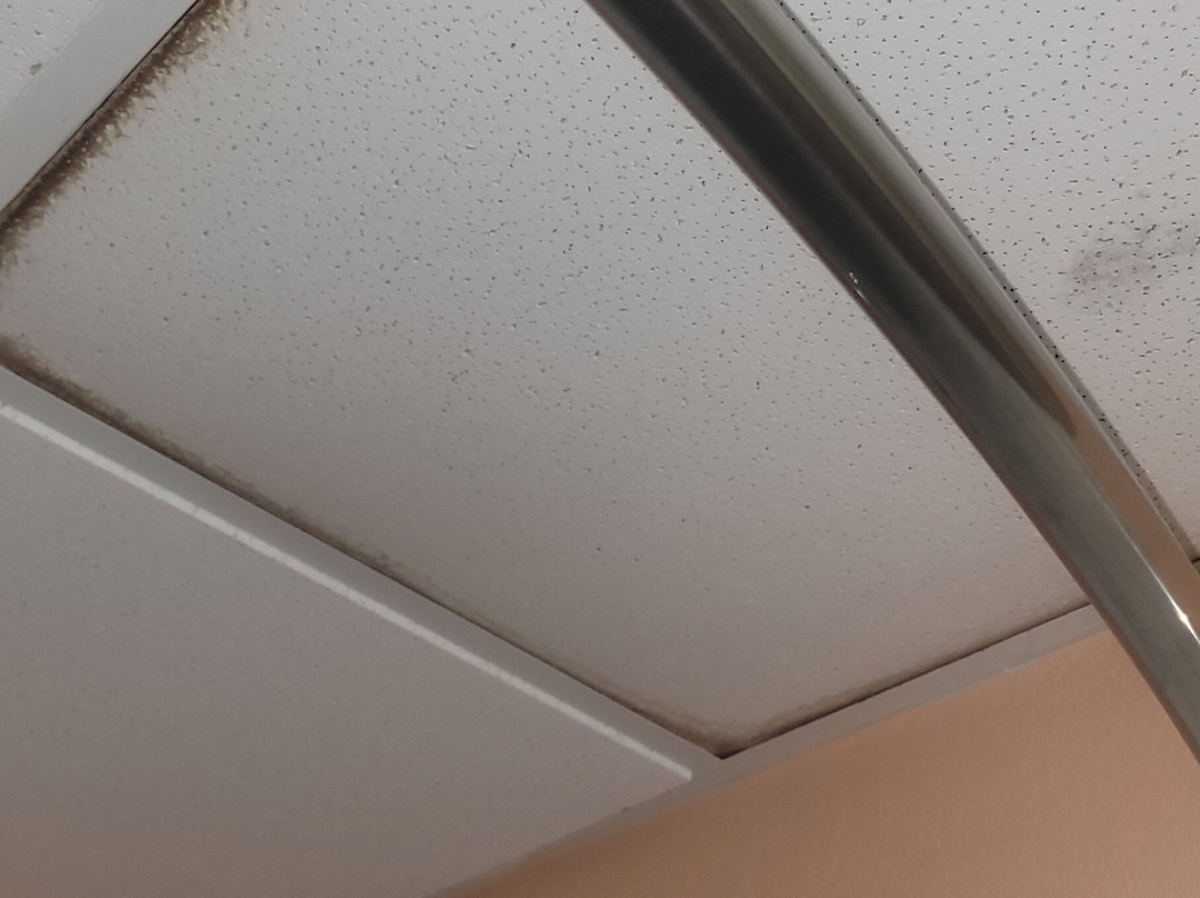 Baymont by Wyndham Cornelia主图