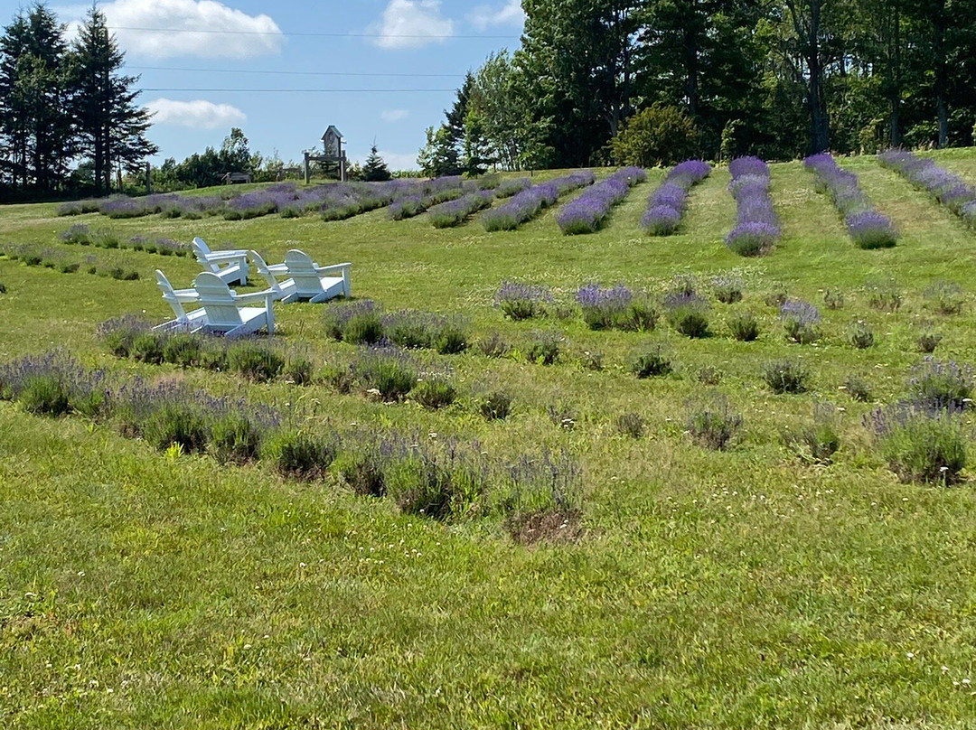 Island Honey Wine Company-Wheatley River必去景点