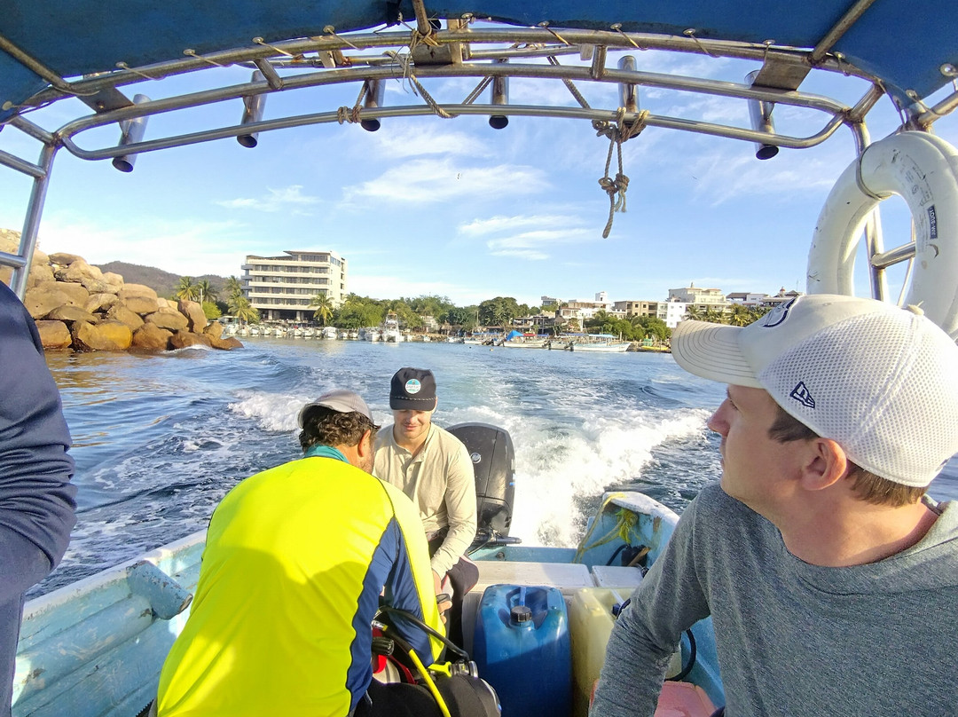Dressel Divers Puerto Vallarta-蓬塔米塔必去景点