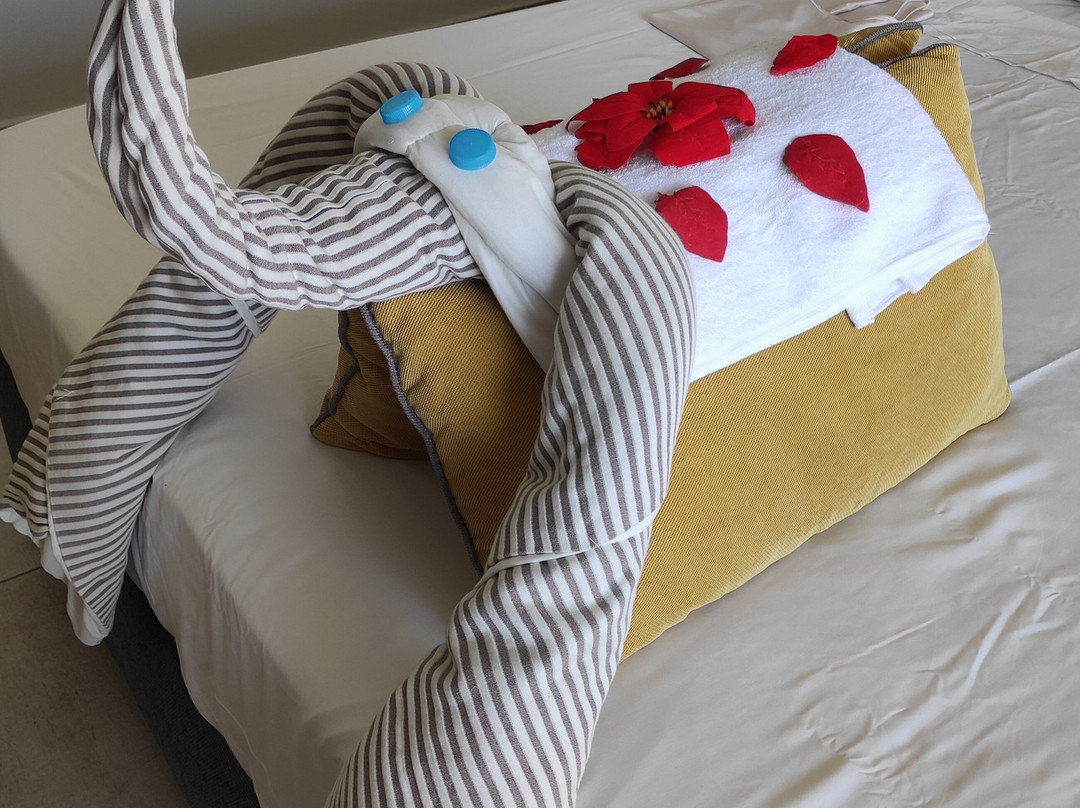 JAZ Costa Mares主图