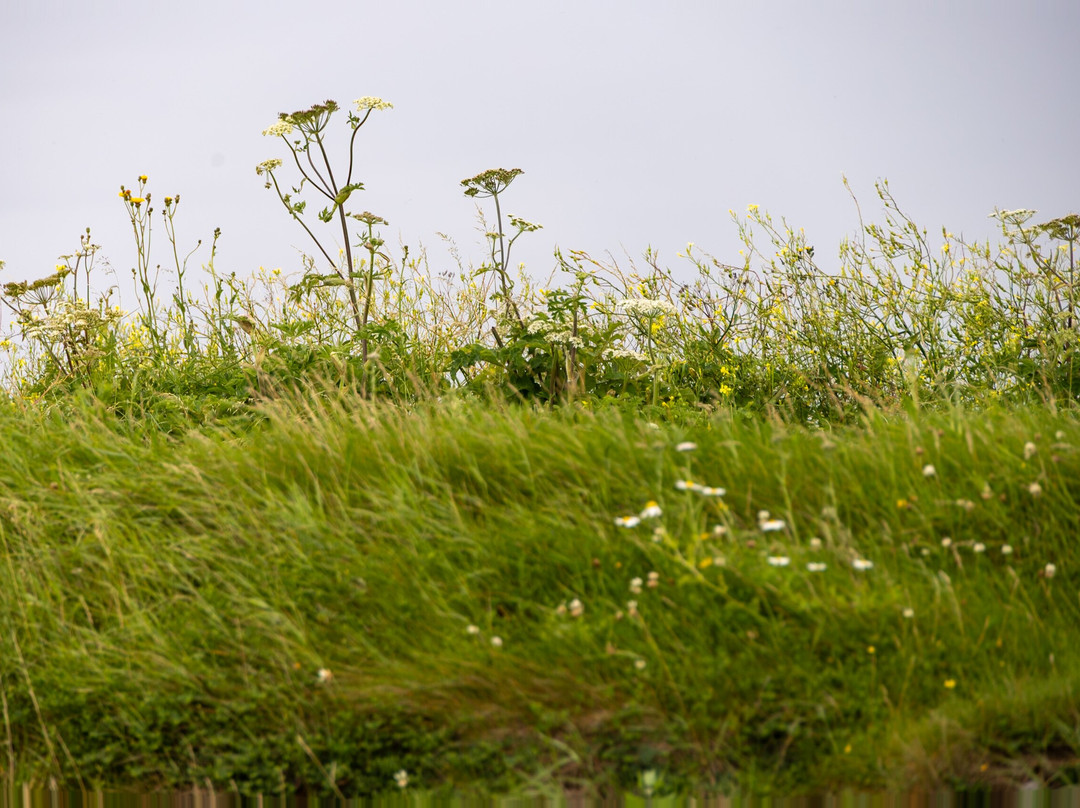 Traught Beach-金瓦拉必去景点