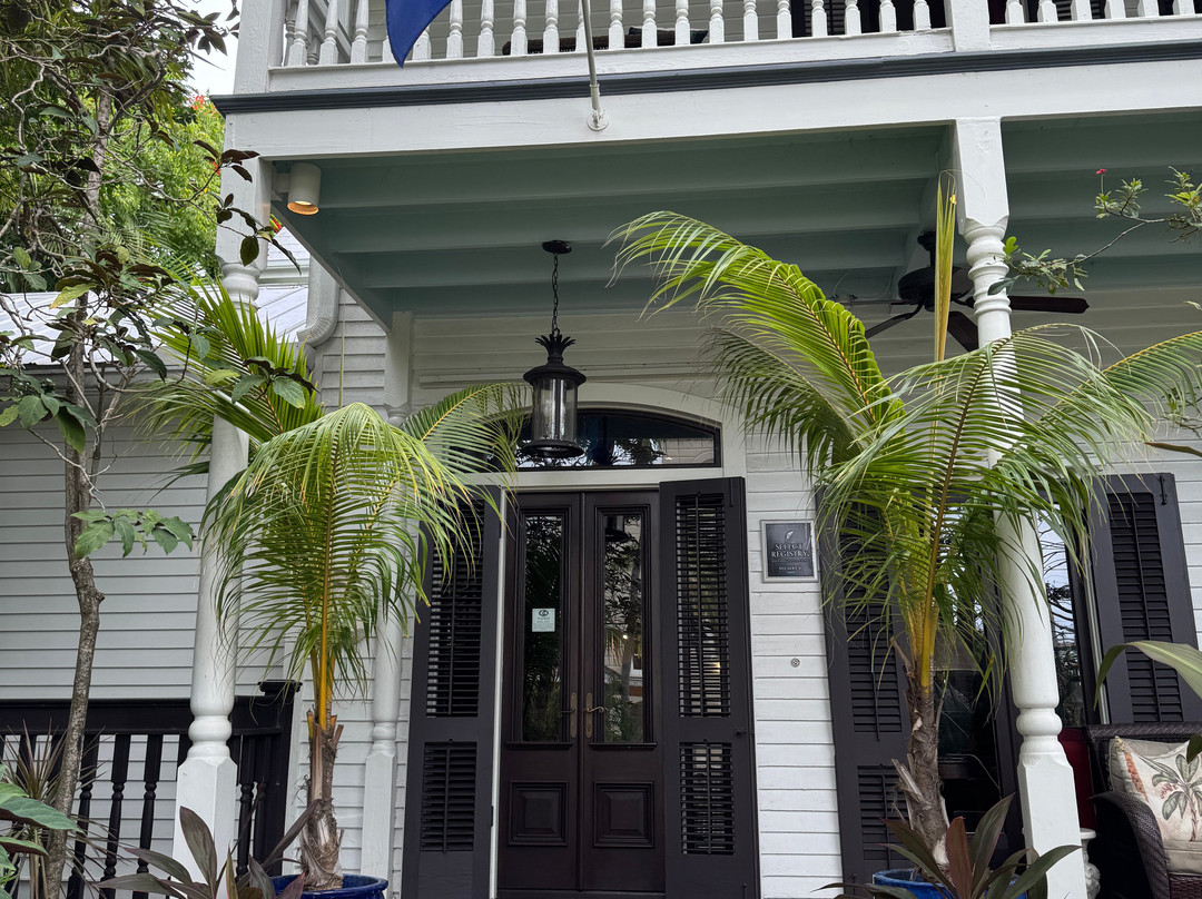 The Mermaid & The Alligator主图