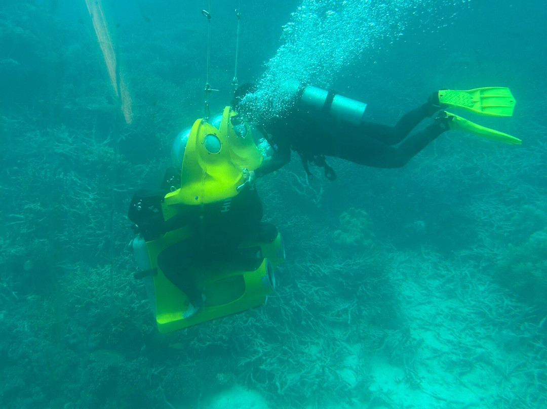 Cairns Private Transfers-道格拉斯港必去景点