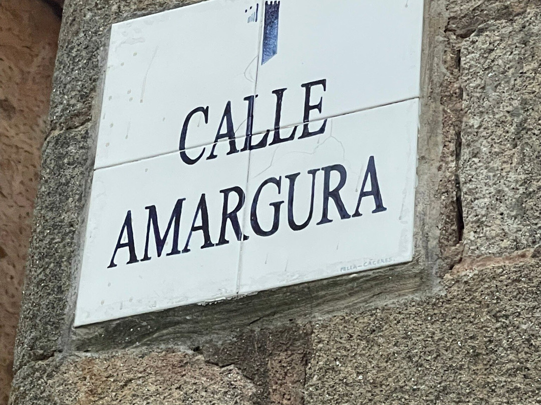 Pasearte Cáceres-卡塞雷斯必去景点