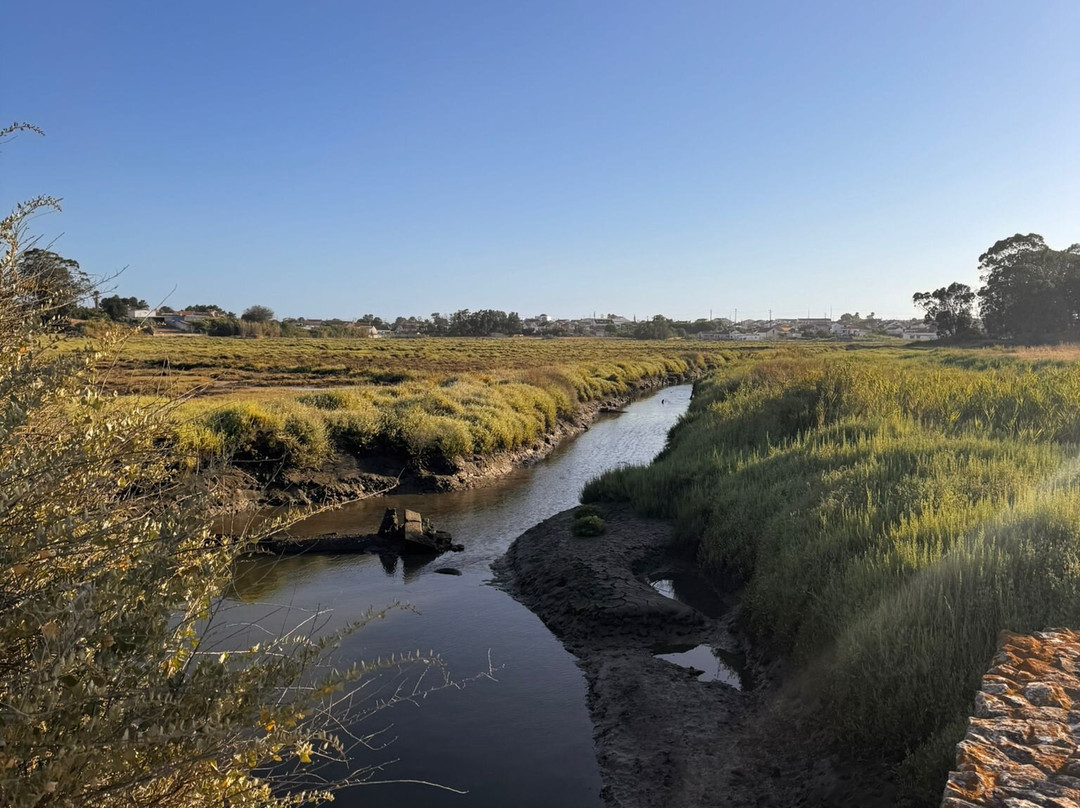 Moinho de Mare da Mourisca-Setubal必去景点