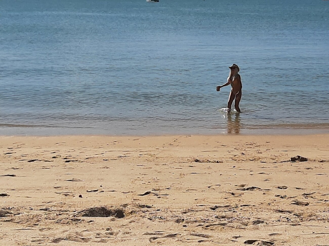 Boathaven Beach-艾尔利滩必去景点