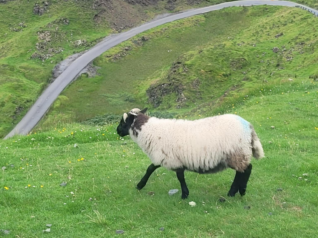 Skye Local Tours-Broadford必去景点