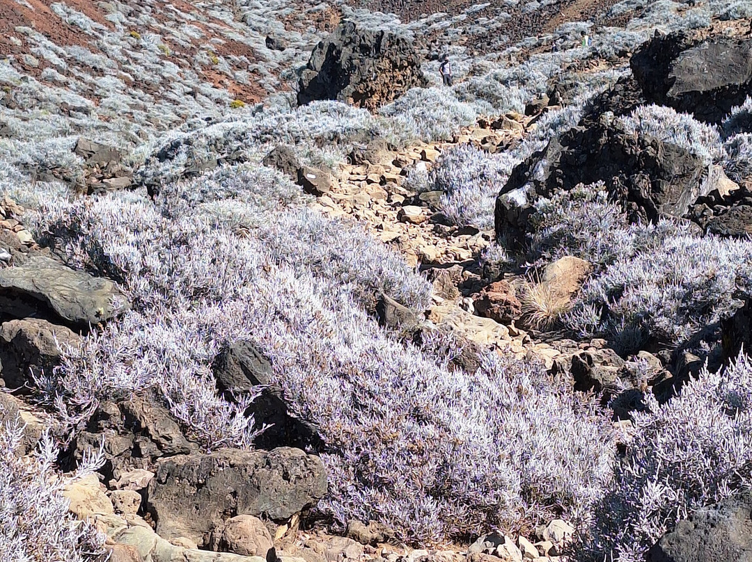 Piton des Neiges-西拉奥必去景点