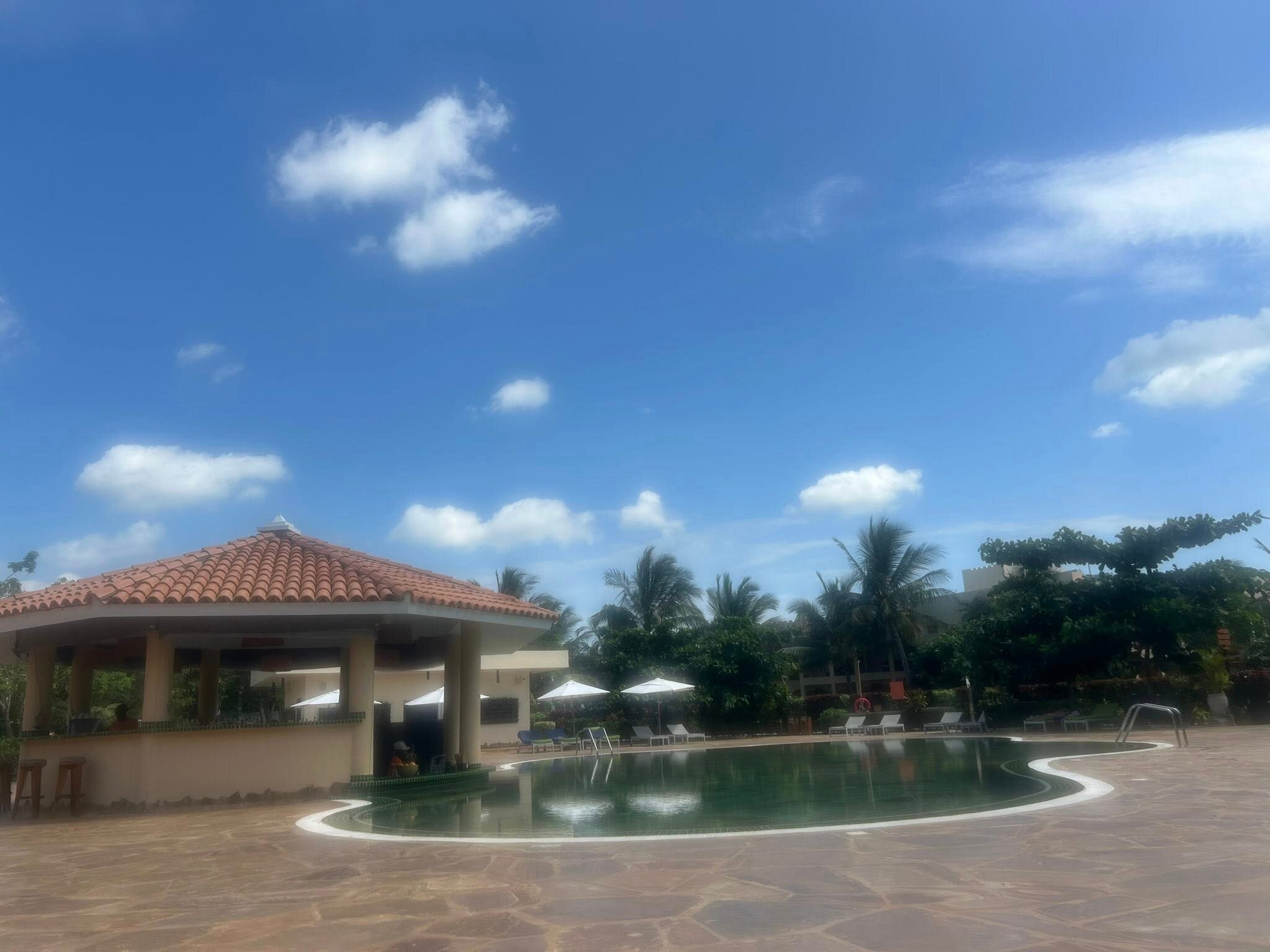 The Mora Zanzibar-泳池