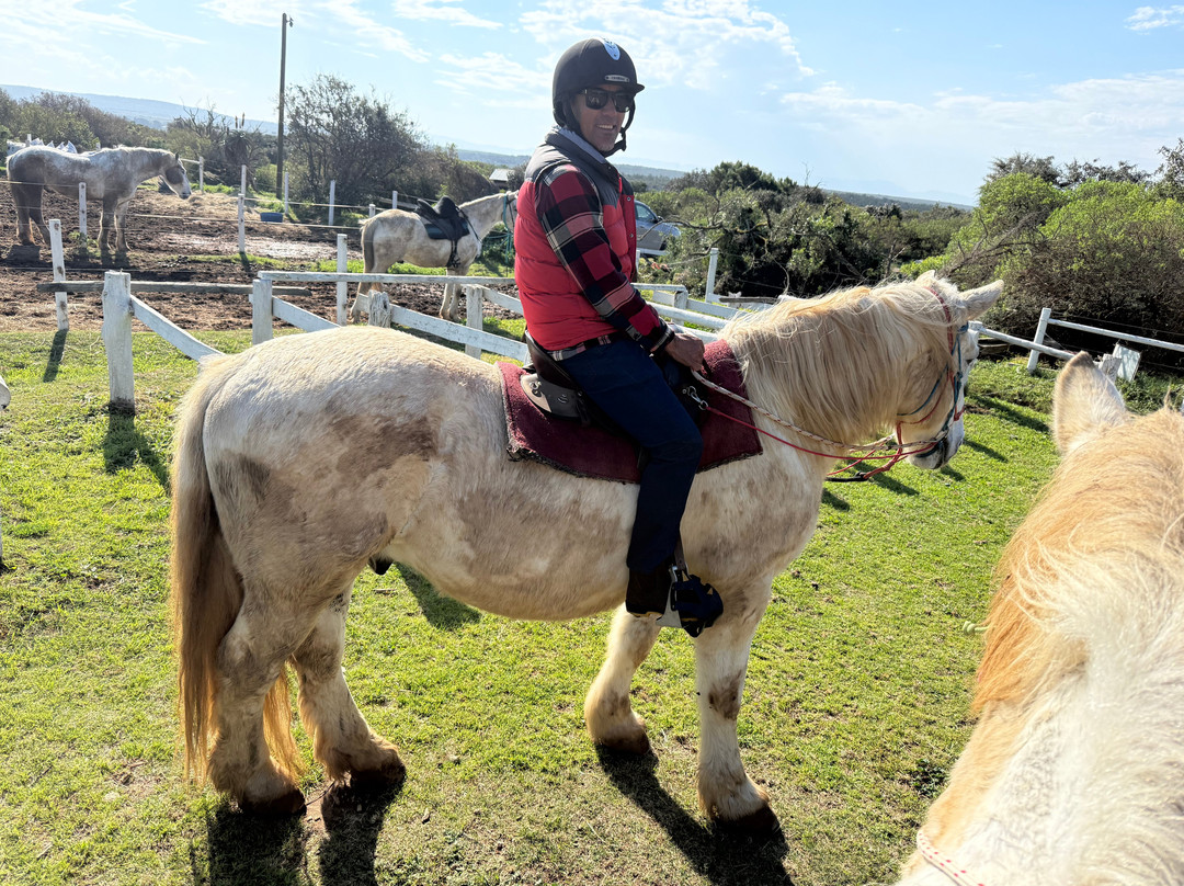 Featherfoot Beach Horse Trails & Riding School-杰佛瑞湾必去景点