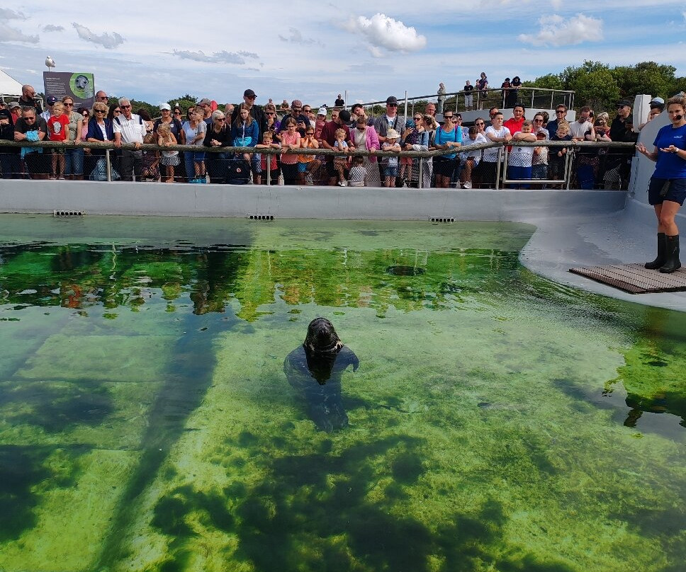 Ecomare-德科赫必去景点