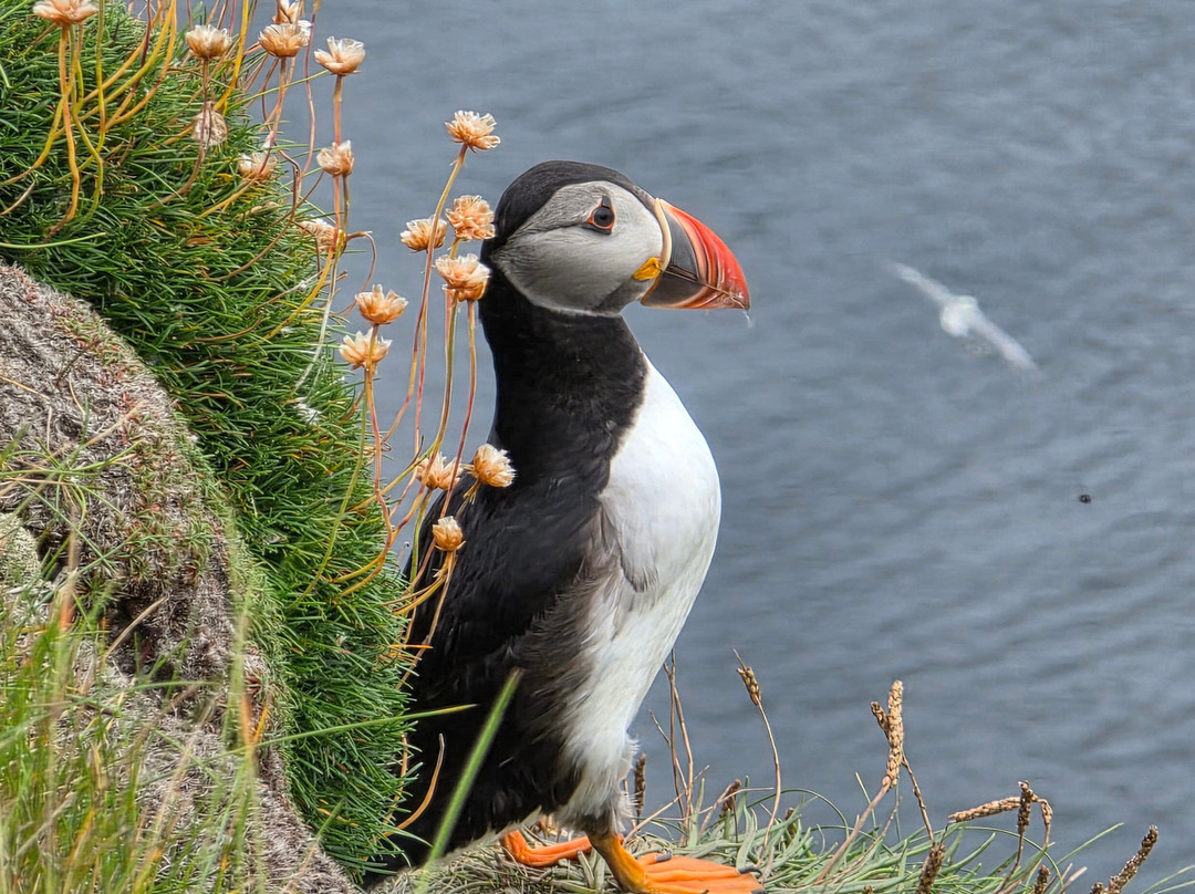 Hidden Hebrides - Island Walking Holidays & Walking Day Tours-Isle of Lewis必去景点