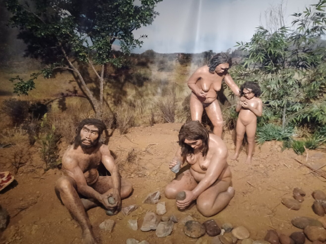 Museo Provincial-雷阿尔城必去景点