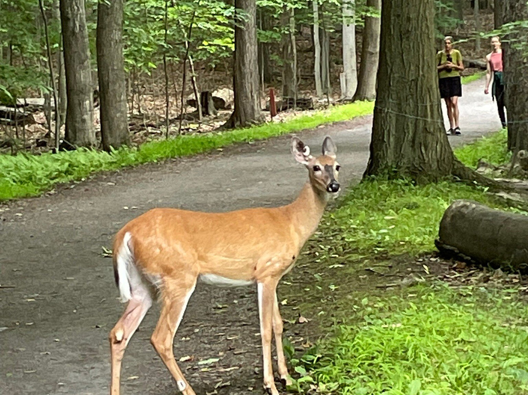 Parc National Du Mont St-bruno-蒙特利尔圣布鲁诺山必去景点