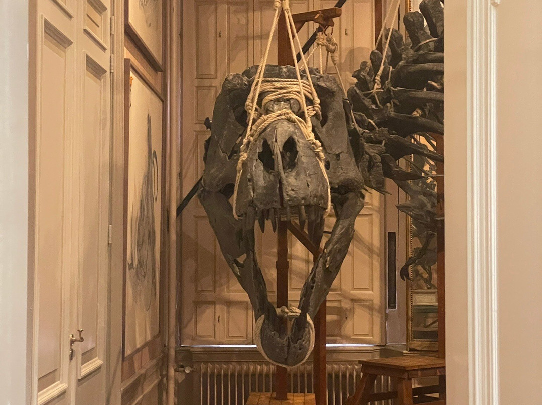 Art Zoo Museum-阿姆斯特丹必去景点