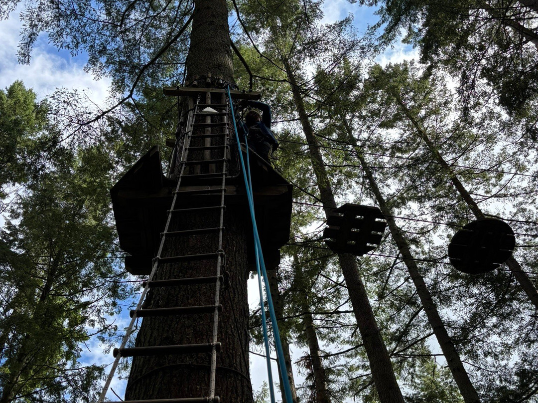 Go Ape Glentress Forest, Peebles-皮布尔斯必去景点
