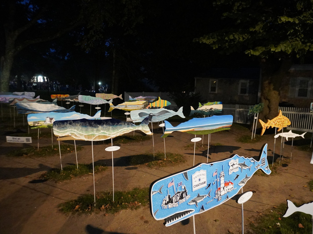 Kate Gould Park-查塔姆必去景点