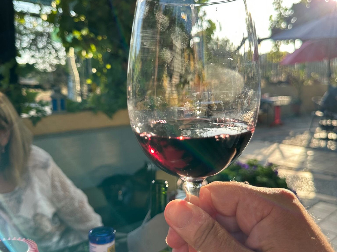 Bar Rafael-卡拉米略尔必去景点