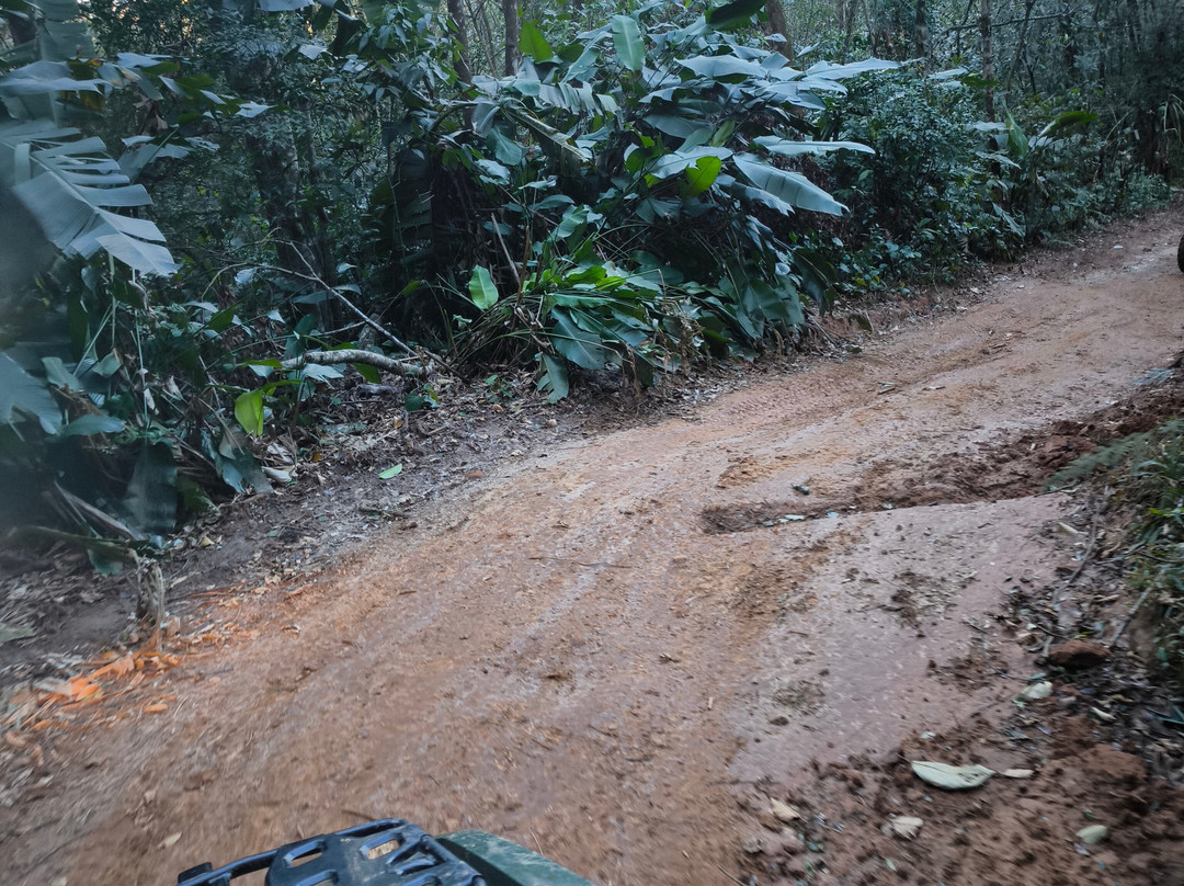 Graxaim do Mato-Praia Grande必去景点