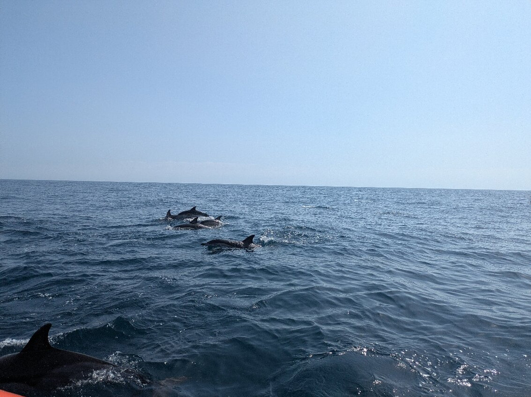 Ski Molhado-阿尔布赞拉必去景点